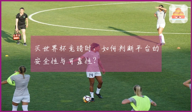 买世界杯竞猜时，如何判断平台的安全性与可靠性？