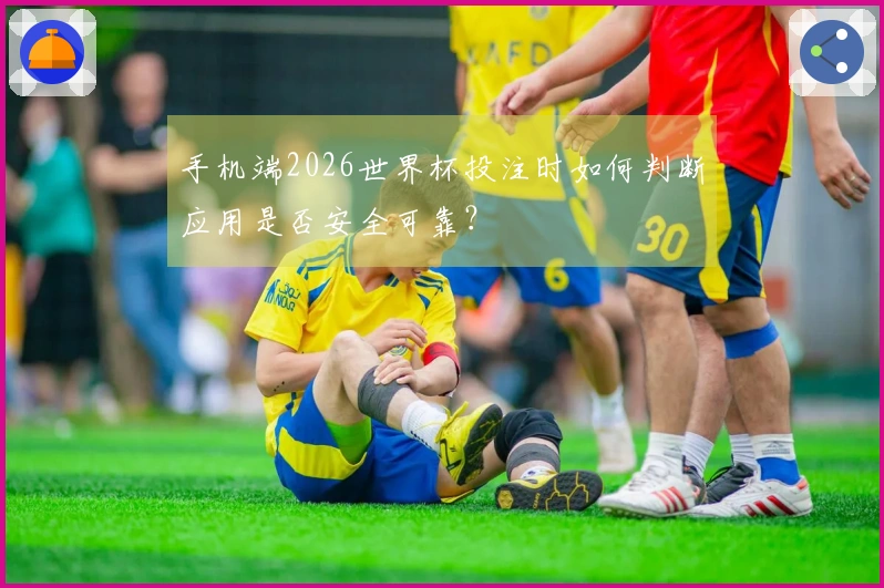手机端2026世界杯投注时如何判断应用是否安全可靠？