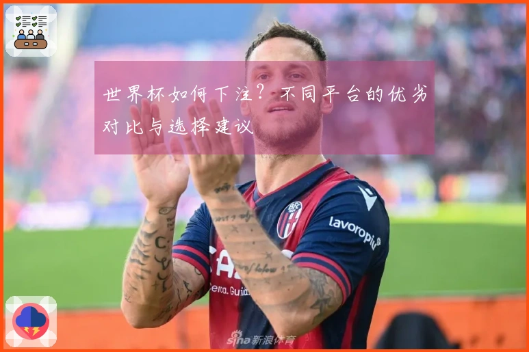 世界杯如何下注？不同平台的优劣对比与选择建议