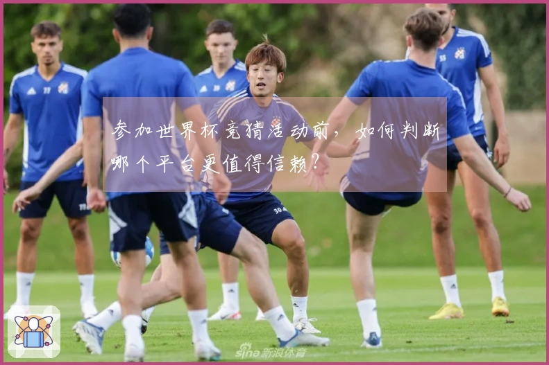 参加世界杯竞猜活动前，如何判断哪个平台更值得信赖？