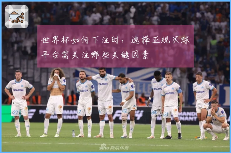 世界杯如何下注时，选择正规买球平台需关注哪些关键因素