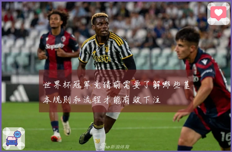 世界杯冠军竞猜前需要了解哪些基本规则和流程才能有效下注