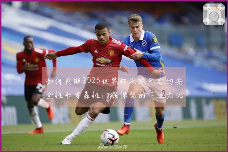 如何判断2026世界杯买球平台的安全性和可靠性，确保你的下注无忧