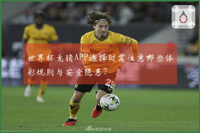 世界杯竞猜APP选择时需注意哪些体彩规则与安全隐患？