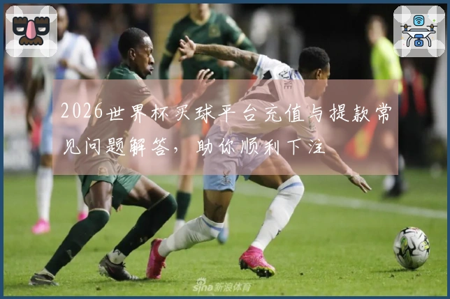 2026世界杯买球平台充值与提款常见问题解答，助你顺利下注
