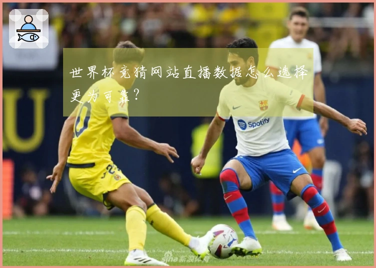 世界杯竞猜网站直播数据怎么选择更为可靠？