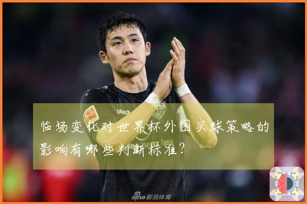 临场变化对世界杯外围买球策略的影响有哪些判断标准？