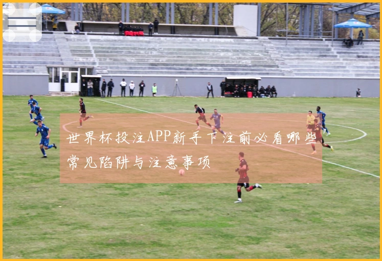 世界杯投注APP新手下注前必看哪些常见陷阱与注意事项
