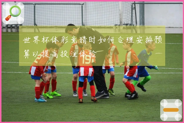 世界杯体彩竞猜时如何合理安排预算以提高投注体验