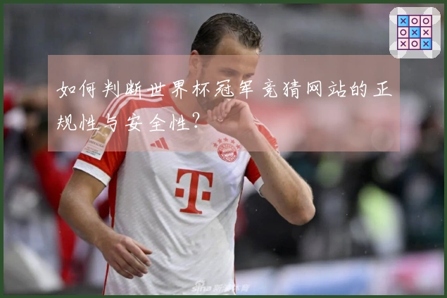 如何判断世界杯冠军竞猜网站的正规性与安全性？