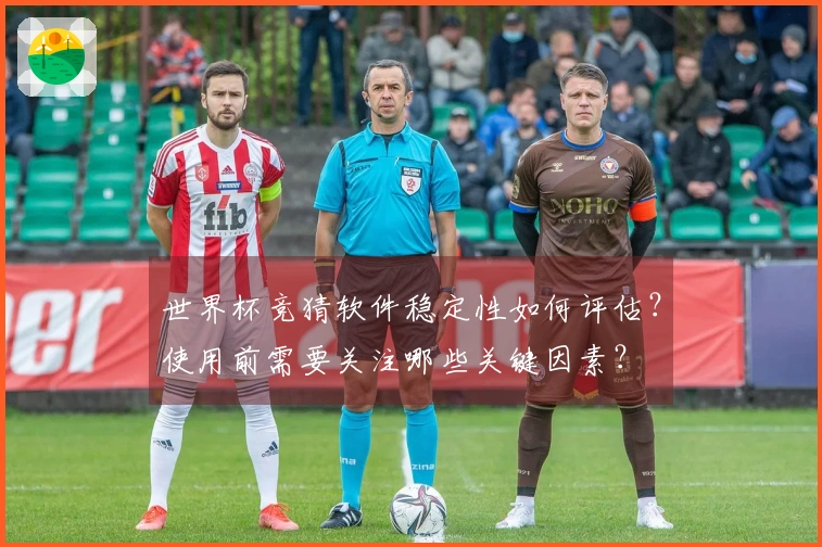 世界杯竞猜软件稳定性如何评估？使用前需要关注哪些关键因素？