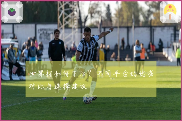 世界杯如何下注？不同平台的优劣对比与选择建议