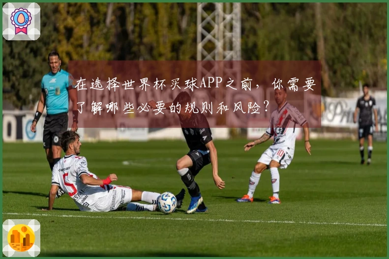 在选择世界杯买球APP之前，你需要了解哪些必要的规则和风险？