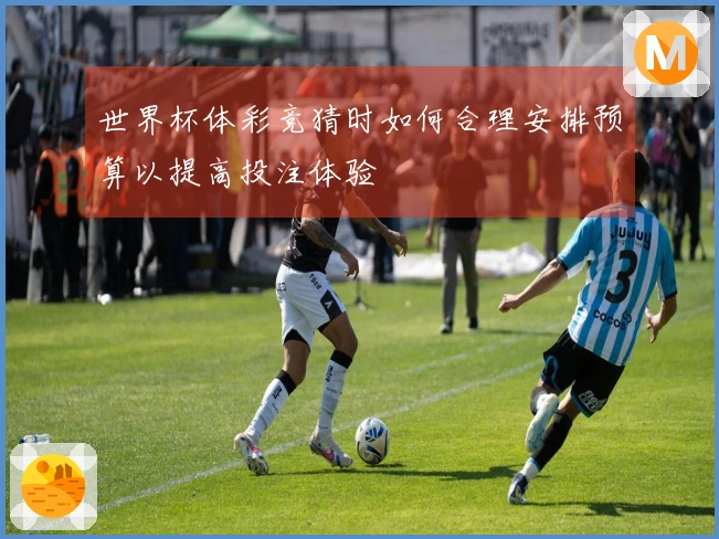 世界杯体彩竞猜时如何合理安排预算以提高投注体验