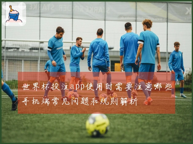 世界杯投注app使用时需要注意哪些手机端常见问题和规则解析
