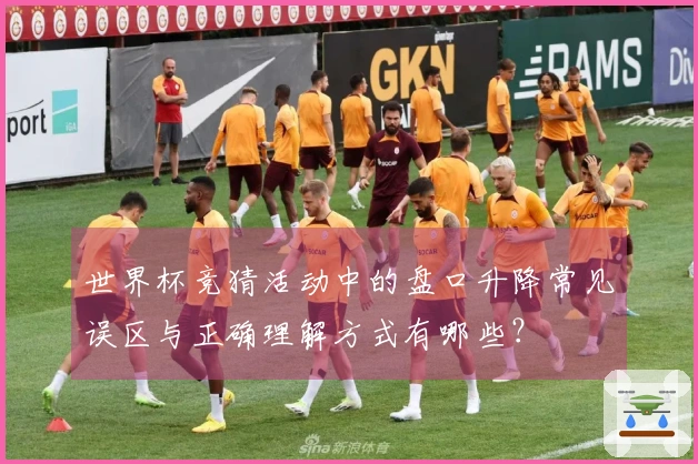 世界杯竞猜活动中的盘口升降常见误区与正确理解方式有哪些？