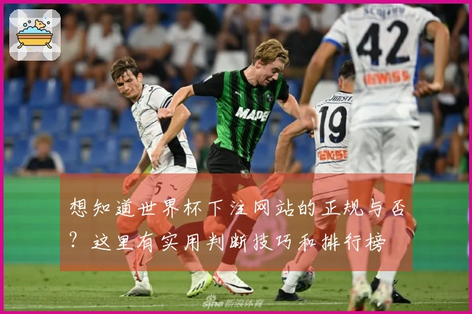 想知道世界杯下注网站的正规与否？这里有实用判断技巧和排行榜