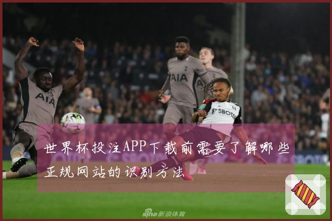 世界杯投注APP下载前需要了解哪些正规网站的识别方法