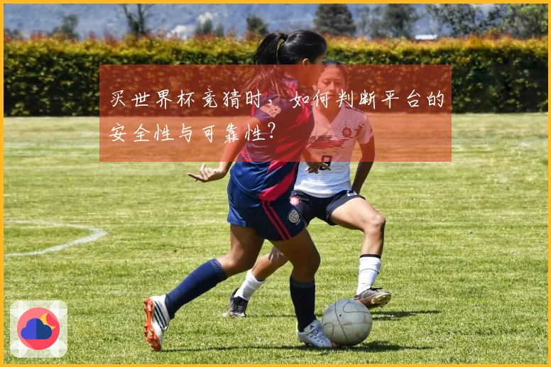 买世界杯竞猜时，如何判断平台的安全性与可靠性？