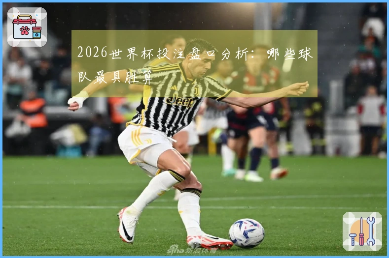 2026世界杯投注盘口分析：哪些球队最具胜算