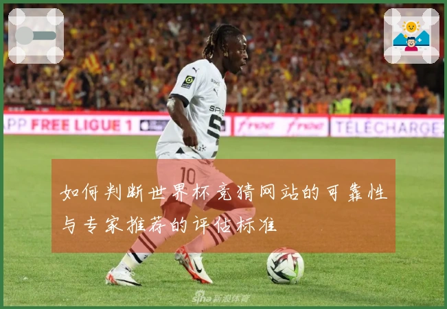 如何判断世界杯竞猜网站的可靠性与专家推荐的评估标准