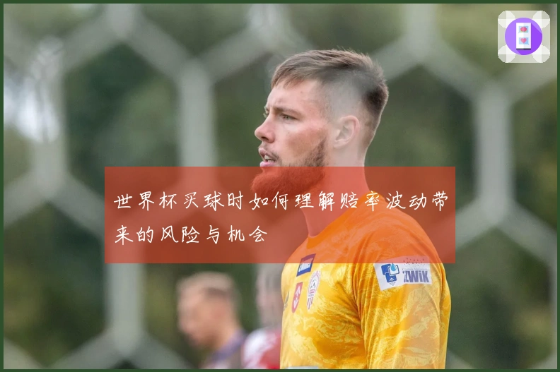世界杯买球时如何理解赔率波动带来的风险与机会