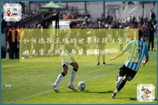 如何选择正规的世界杯投注官网？避免常见风险与误区解析