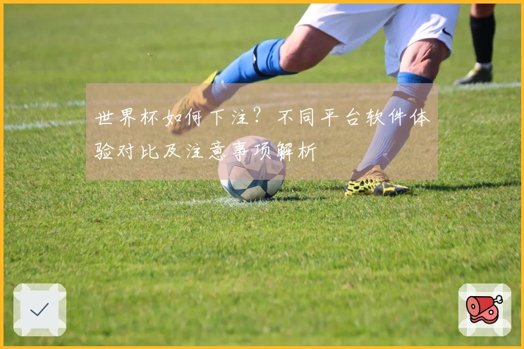 世界杯如何下注？不同平台软件体验对比及注意事项解析