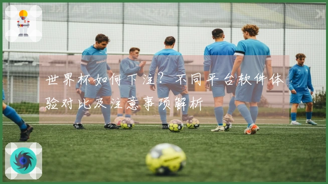 世界杯如何下注？不同平台软件体验对比及注意事项解析