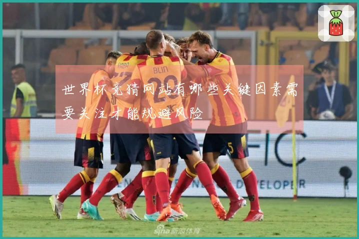 世界杯竞猜网站有哪些关键因素需要关注才能规避风险