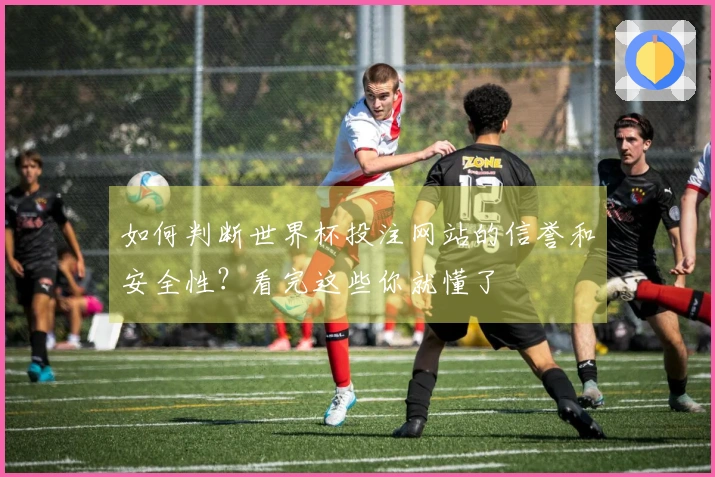 如何判断世界杯投注网站的信誉和安全性？看完这些你就懂了