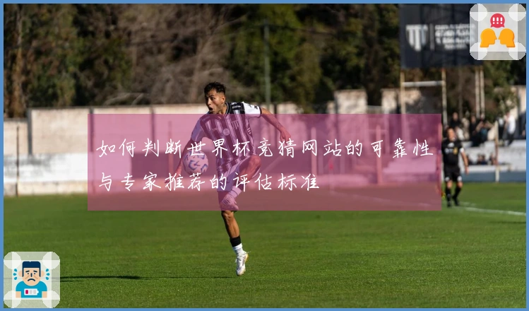 如何判断世界杯竞猜网站的可靠性与专家推荐的评估标准